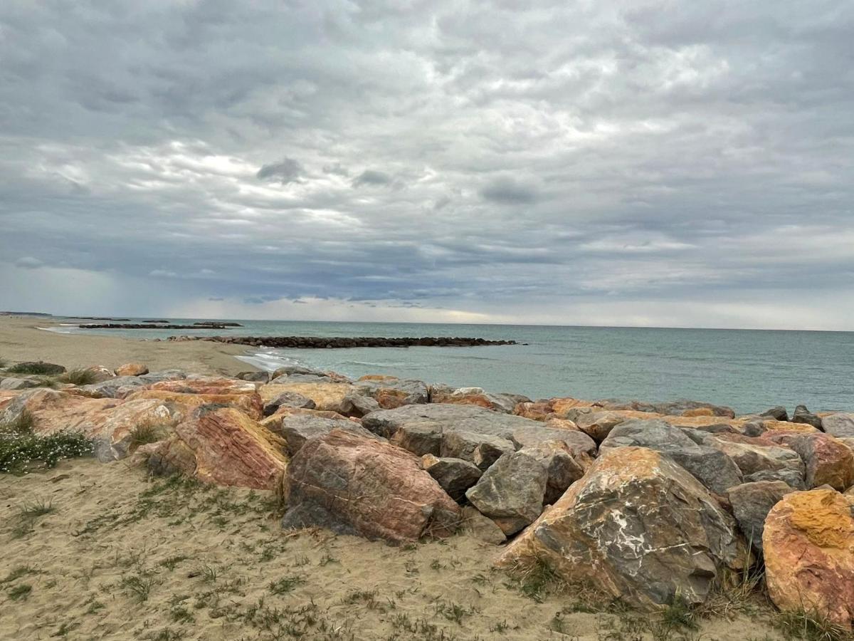 Port Barcares Vue Port Et Mer เลอบาร์กาแรส ภายนอก รูปภาพ